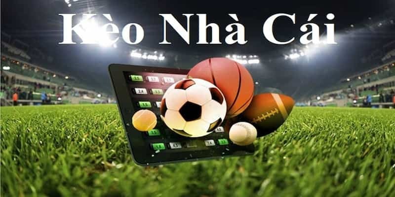 Nguyên tắc khi lựa chọn kèo để cá cược